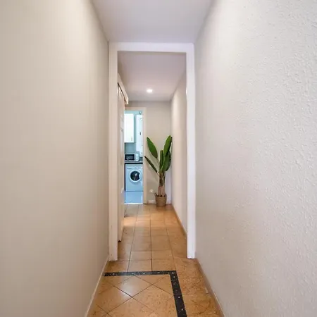 P1par1001 - Wonderfull Aparment In Paralel *